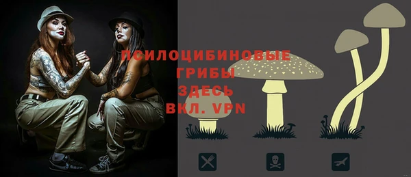 mix Новозыбков