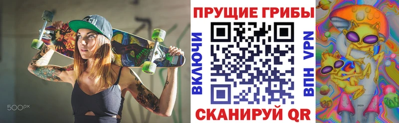 MEGA   Александровск-Сахалинский  Псилоцибиновые грибы GOLDEN TEACHER 